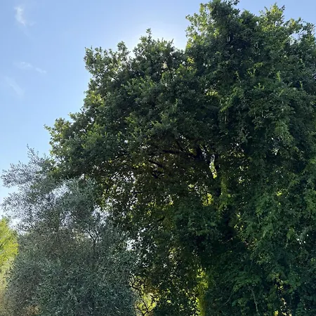 Appartamento In Villa Con Piscina * Lucca