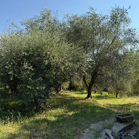 Villa in collina con Piscina Lucca